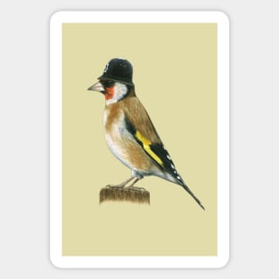 European Goldfinch Sticker